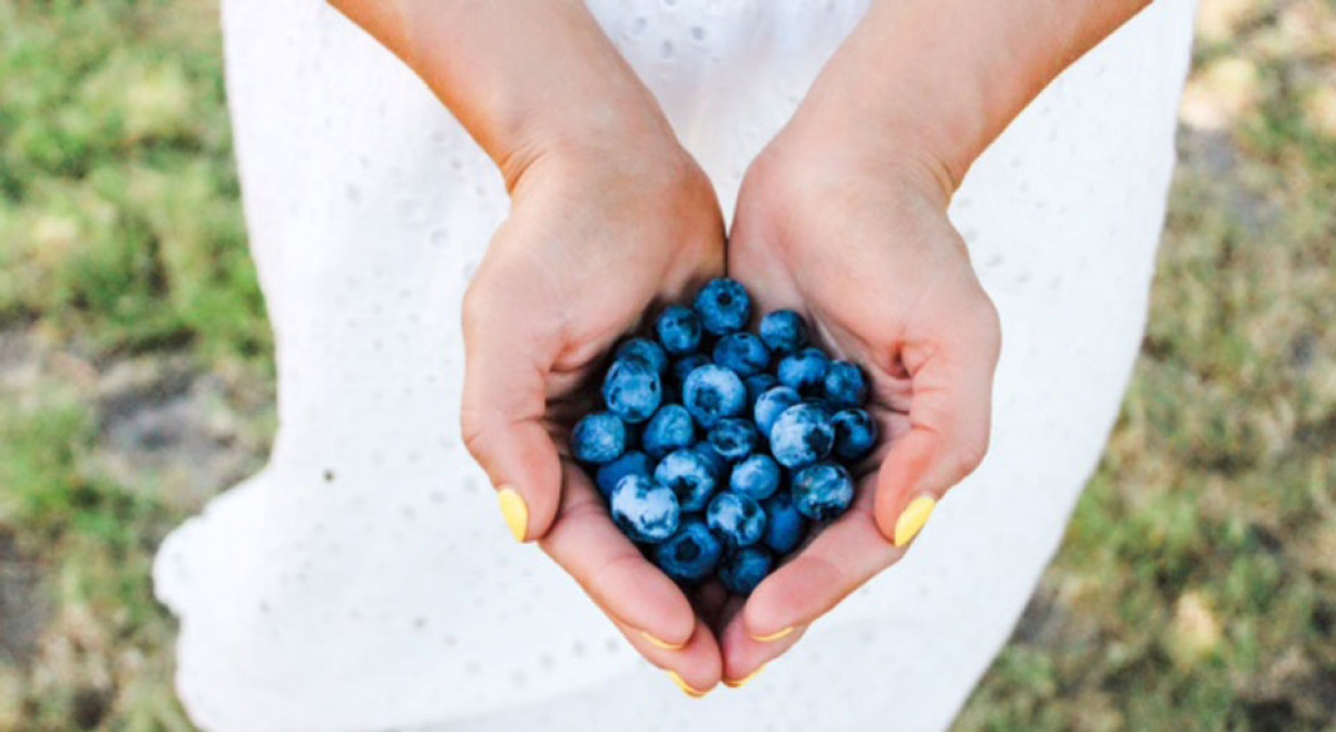 Win Beautiful, Fresh Blueberries From MSB Farms